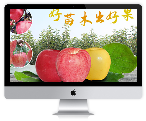 小草沟苗木（烟台）有限公司